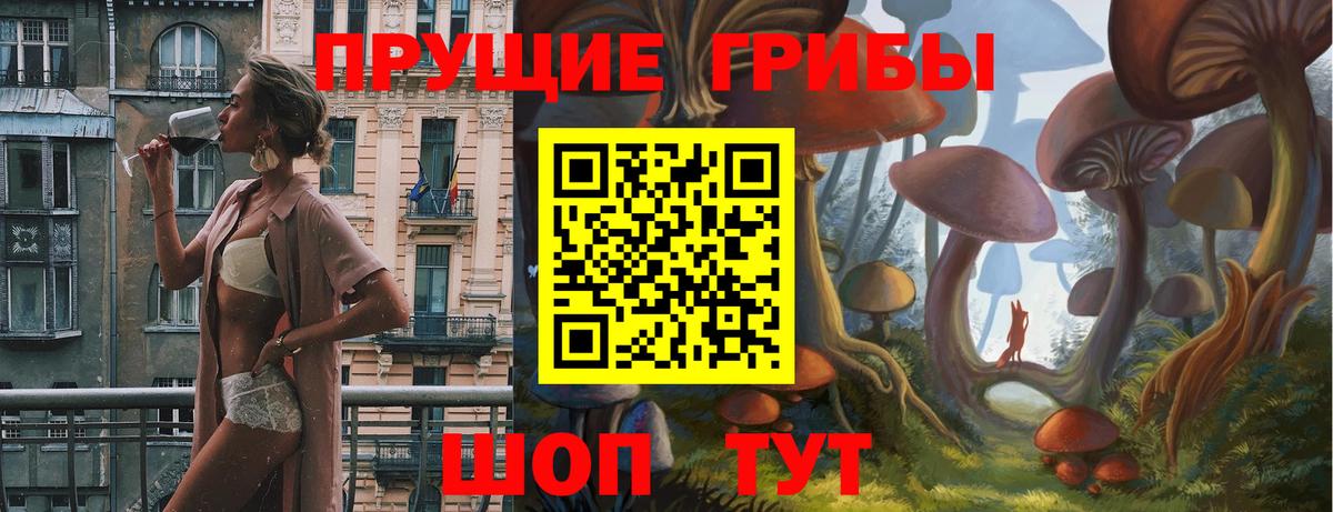 Галлюциногенные грибы Cubensis Георгиевск