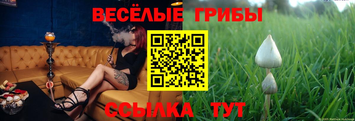 Галлюциногенные грибы мицелий  Вход с VPN  Георгиевск  сколько стоит  Галлюциногенные грибы ЛСД 